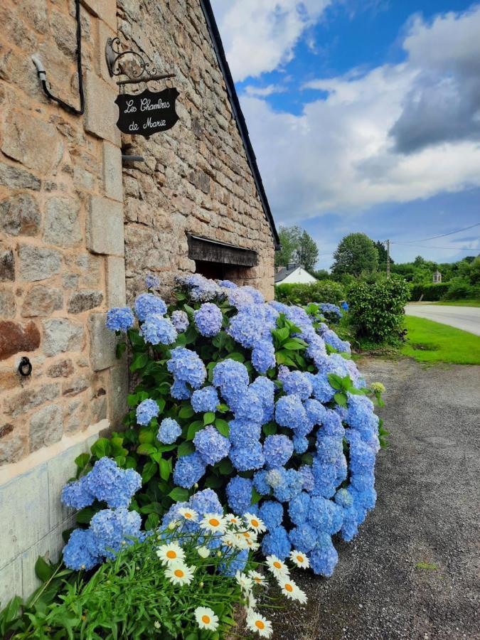 Homestay Les De Marie